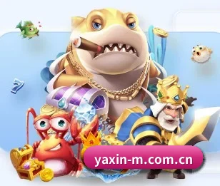 关于我们 - 体育资讯内容服务(yaxin)